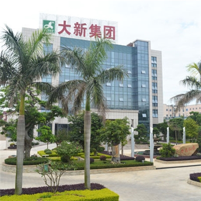 大新集團